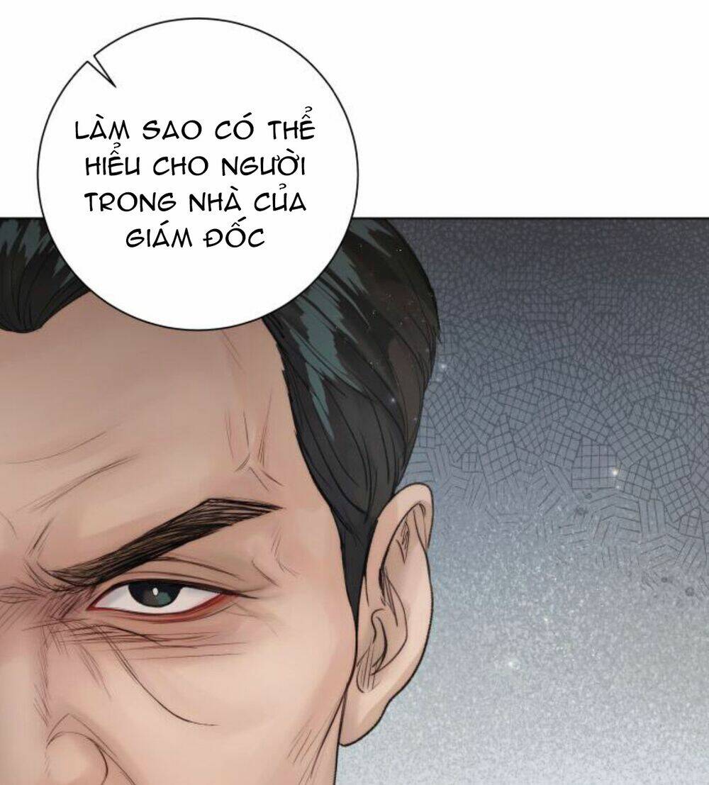 Nhất Định Chúng Ta Sẽ Được Hạnh Phúc Chapter 37 - Trang 2