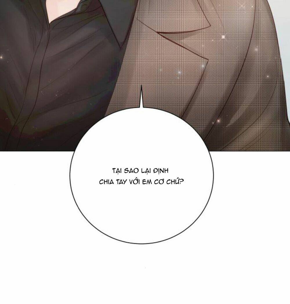 Nhất Định Chúng Ta Sẽ Được Hạnh Phúc Chapter 41 - Trang 2