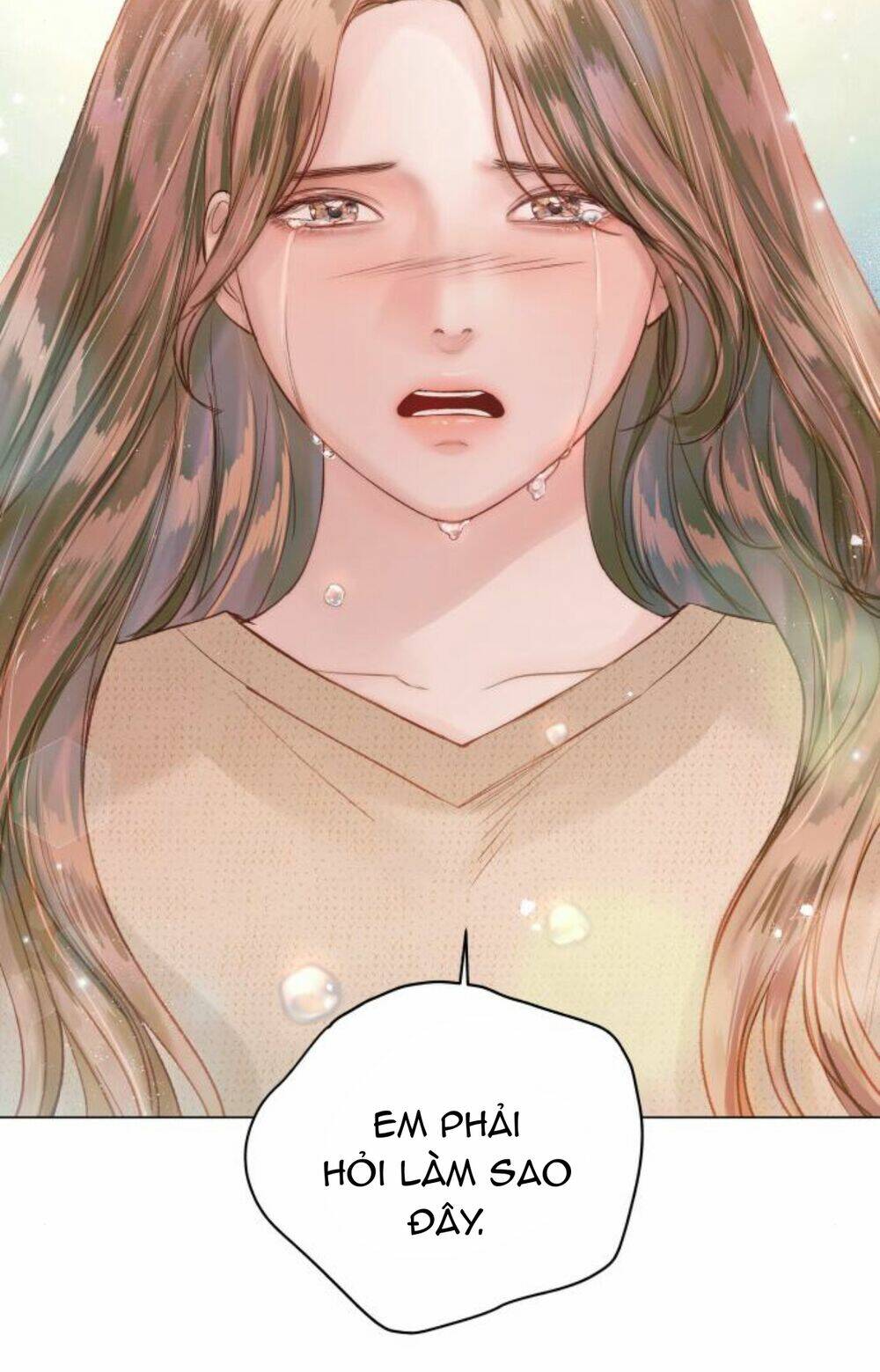 Nhất Định Chúng Ta Sẽ Được Hạnh Phúc Chapter 47 - Trang 2