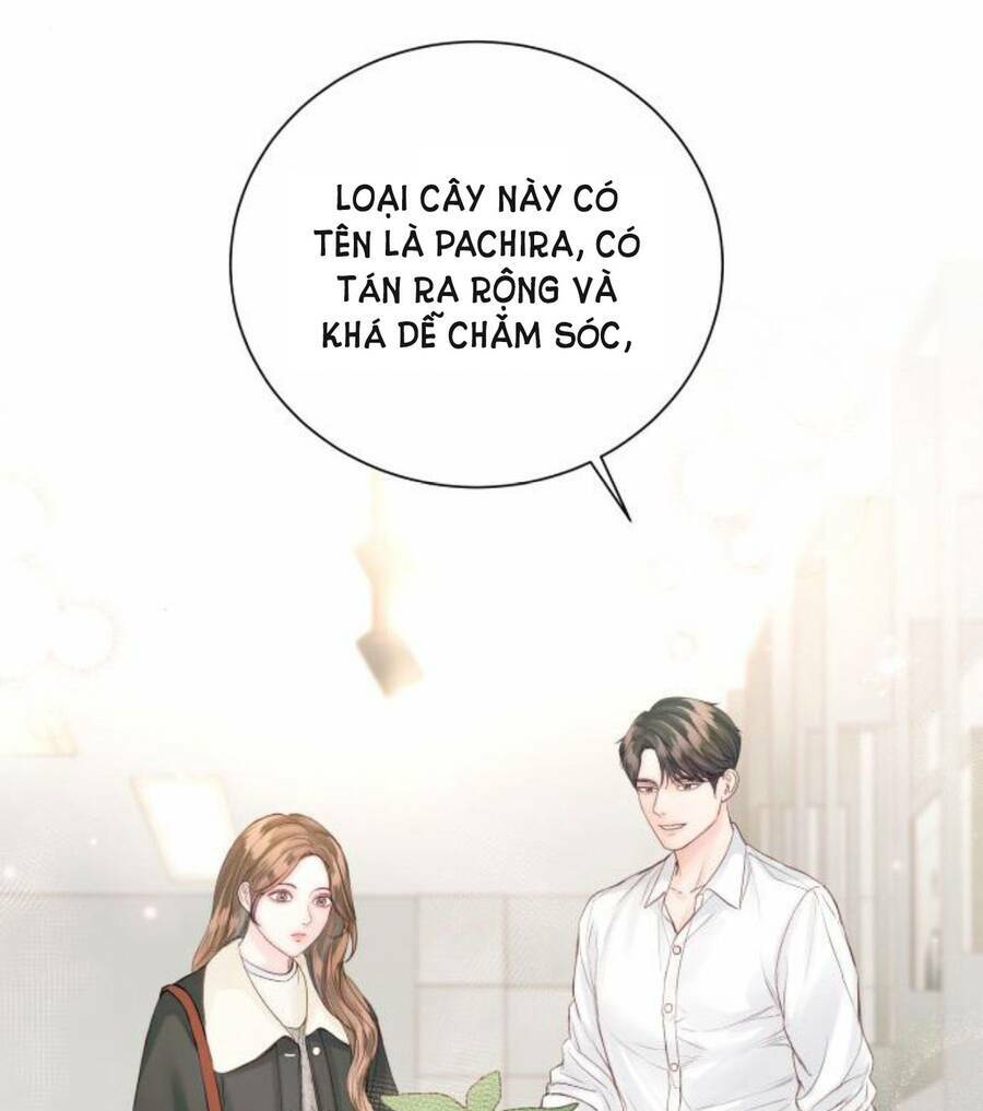 Nhất Định Chúng Ta Sẽ Được Hạnh Phúc Chapter 50 - Trang 2