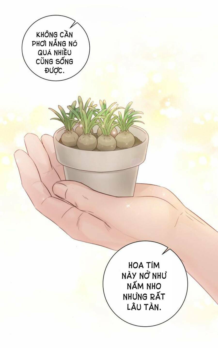 Nhất Định Chúng Ta Sẽ Được Hạnh Phúc Chapter 50 - Trang 2