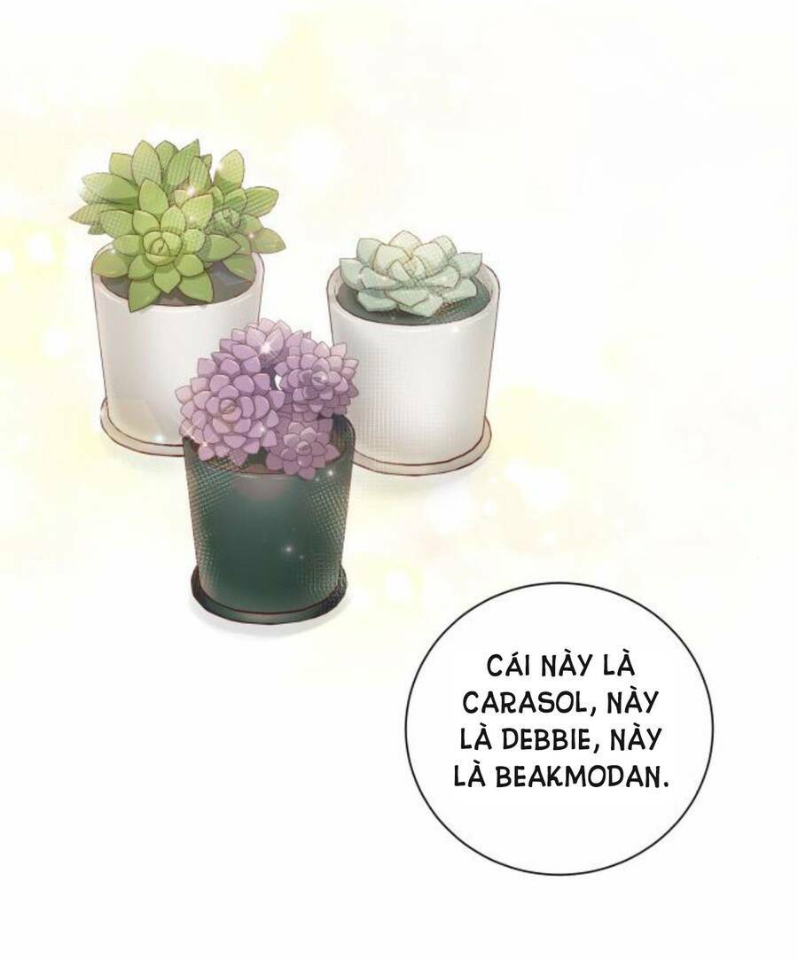 Nhất Định Chúng Ta Sẽ Được Hạnh Phúc Chapter 50 - Trang 2