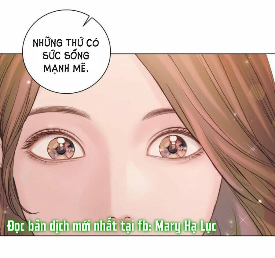 Nhất Định Chúng Ta Sẽ Được Hạnh Phúc Chapter 50 - Trang 2