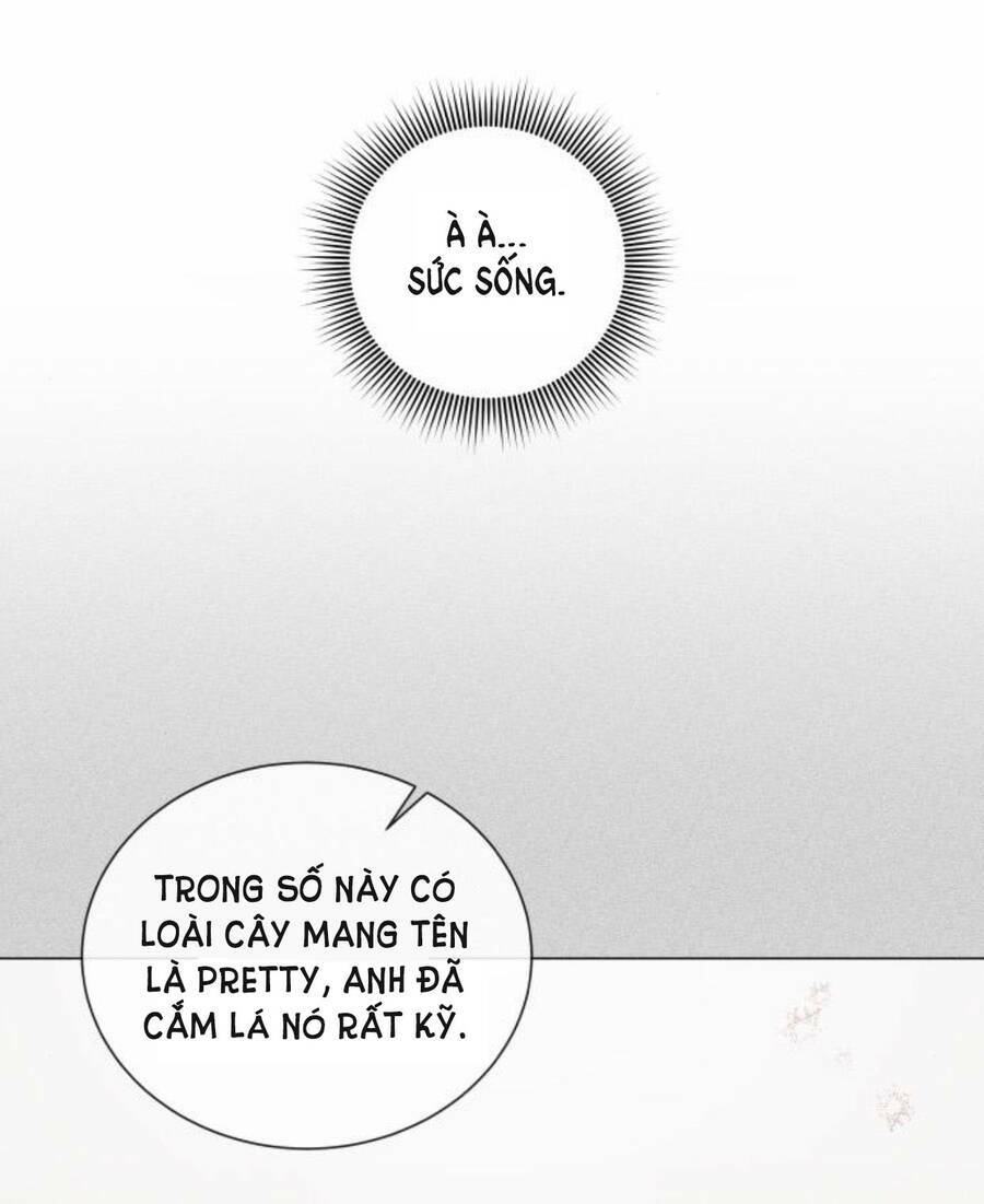 Nhất Định Chúng Ta Sẽ Được Hạnh Phúc Chapter 50 - Trang 2