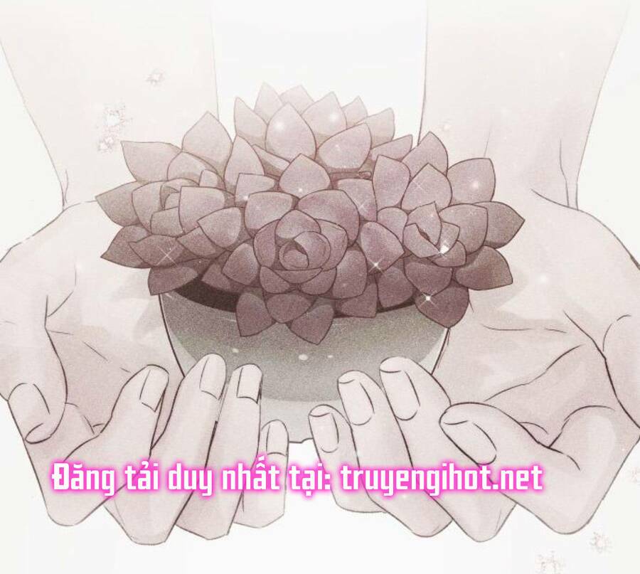 Nhất Định Chúng Ta Sẽ Được Hạnh Phúc Chapter 50 - Trang 2