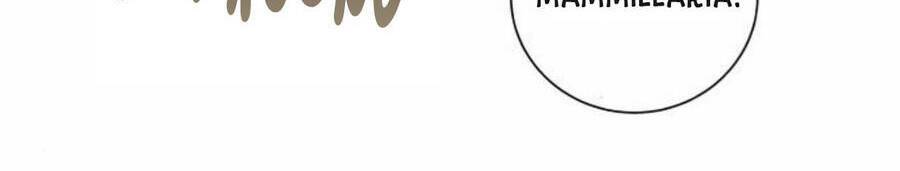 Nhất Định Chúng Ta Sẽ Được Hạnh Phúc Chapter 50 - Trang 2