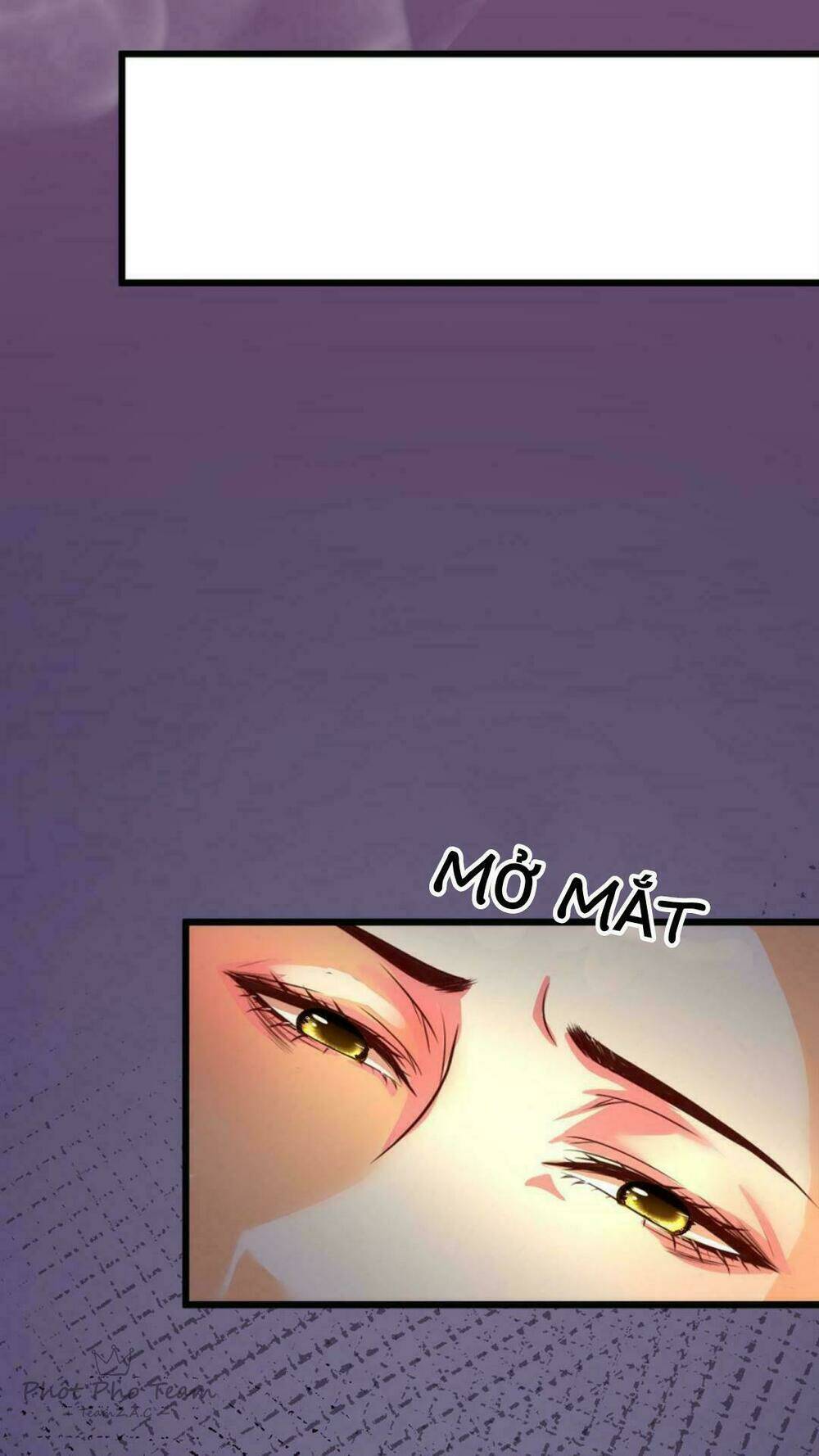 Nhất Đỉnh Vương Phi Chapter 1 - Trang 2