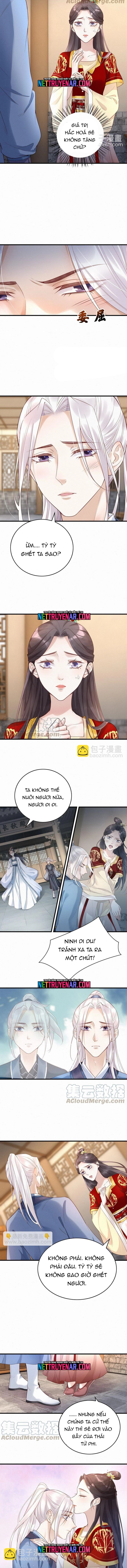 Nhặt Được Một Lão Đại Hắc Hoá Chapter 49 - Trang 2