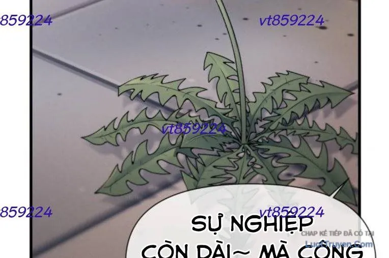 Nhật Kí Đổi Nghề Chapter 41 - Trang 2