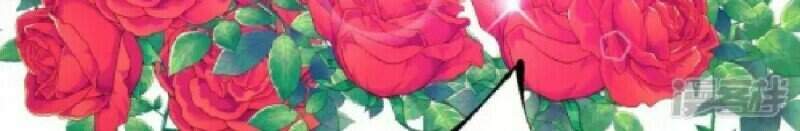 Nhật Kí Học Tập Của Hắc Liên Hoa Chapter 24 - Trang 2