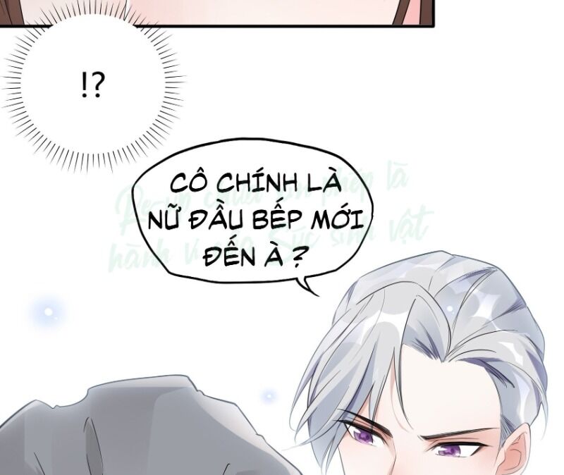 Nhật Kí Mưu Sinh Của Tra Nữ Chapter 12 - Trang 2
