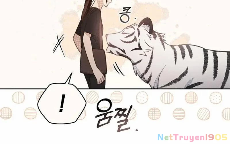Nhật Ký Thuần Hóa Của Linh Sư Cấp S Chapter 10 - Trang 2