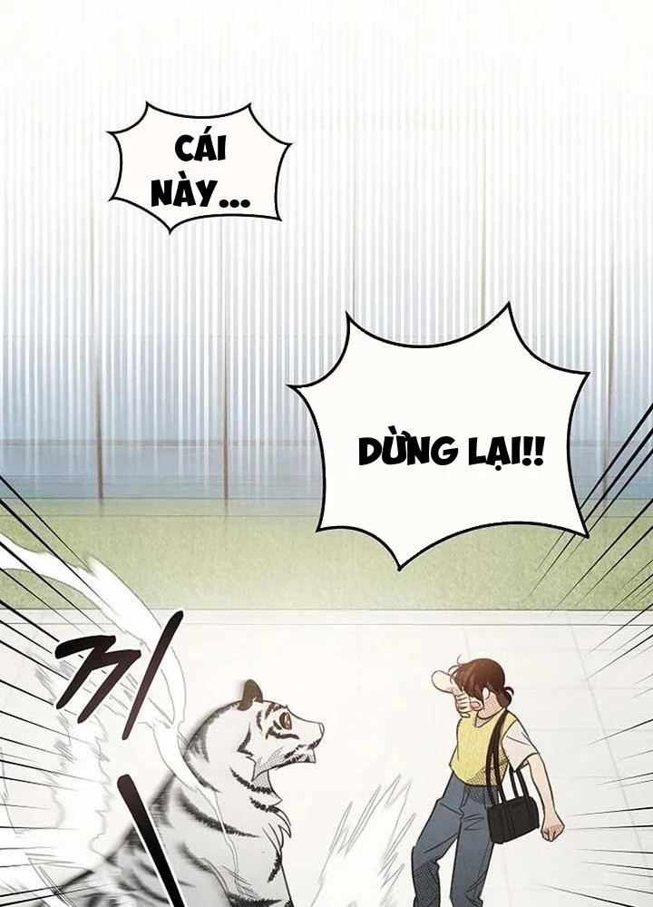 Nhật Ký Thuần Hóa Của Linh Sư Cấp S Chapter 11 - Trang 2