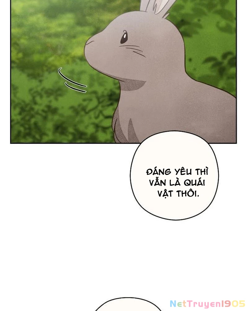 Nhật Ký Thuần Hóa Của Linh Sư Cấp S Chapter 13 - Trang 2