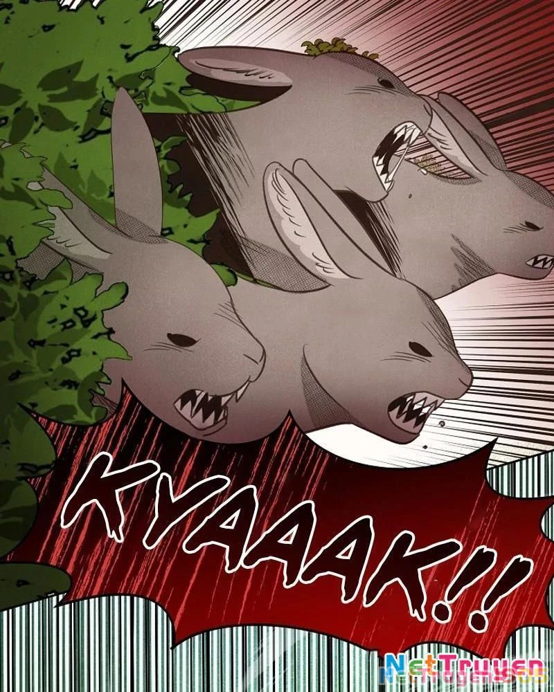 Nhật Ký Thuần Hóa Của Linh Sư Cấp S Chapter 13 - Trang 2