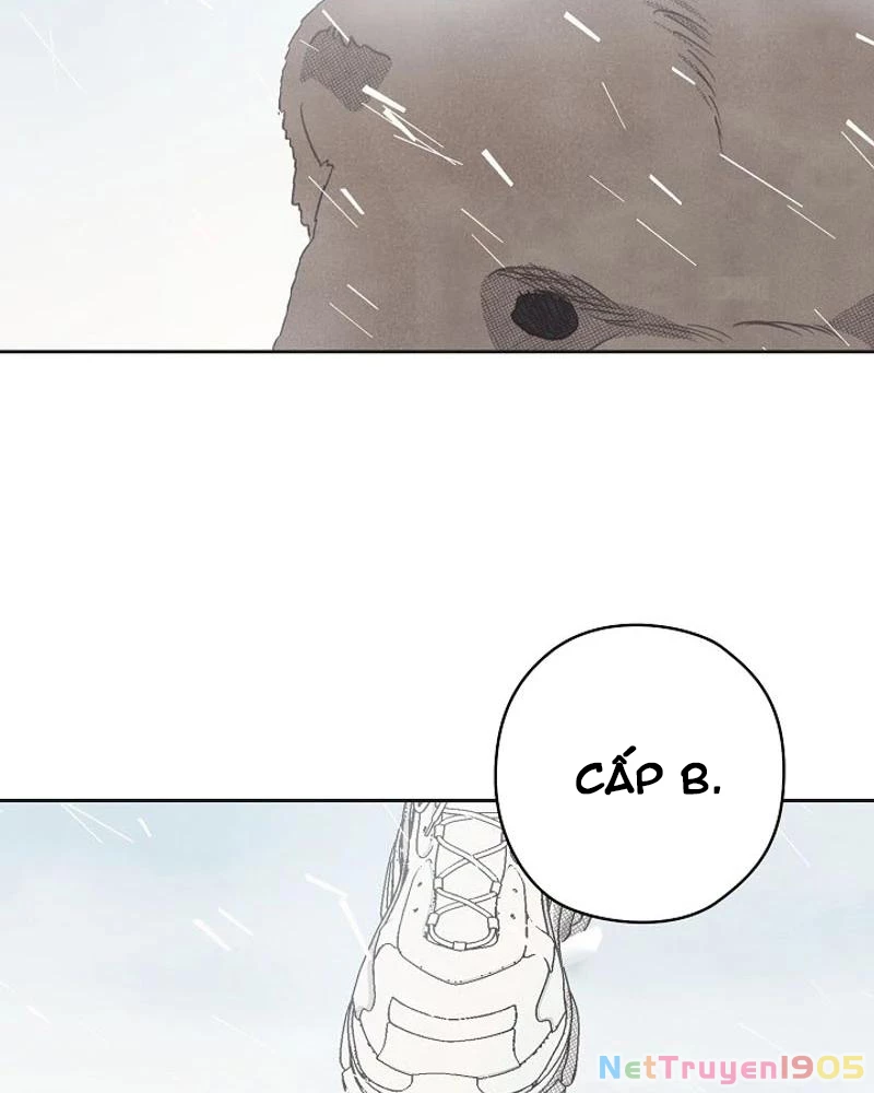 Nhật Ký Thuần Hóa Của Linh Sư Cấp S Chapter 15 - Trang 2