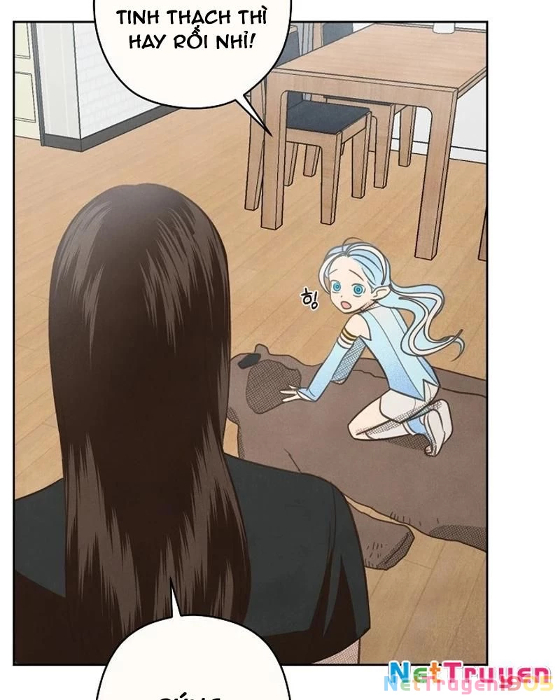 Nhật Ký Thuần Hóa Của Linh Sư Cấp S Chapter 16 - Trang 2