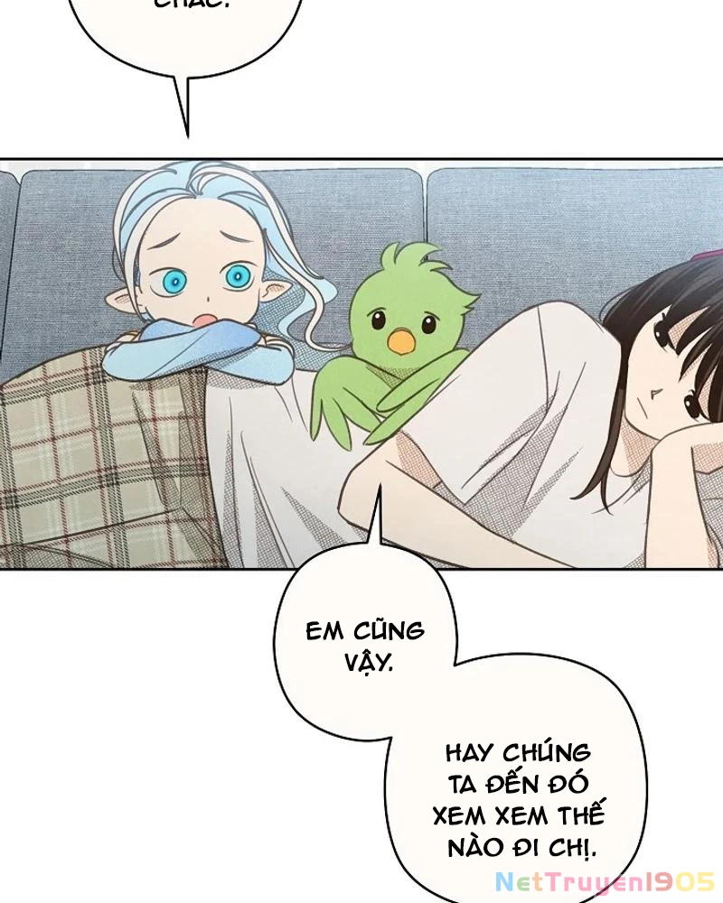 Nhật Ký Thuần Hóa Của Linh Sư Cấp S Chapter 16 - Trang 2