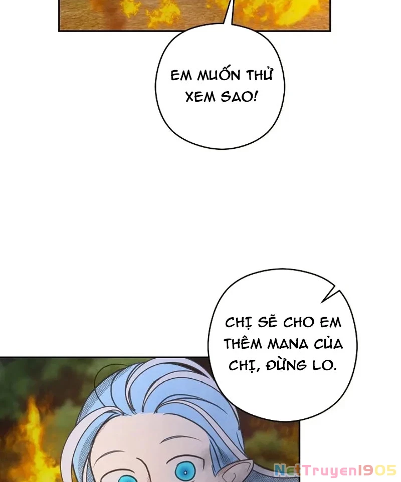 Nhật Ký Thuần Hóa Của Linh Sư Cấp S Chapter 19 - Trang 2