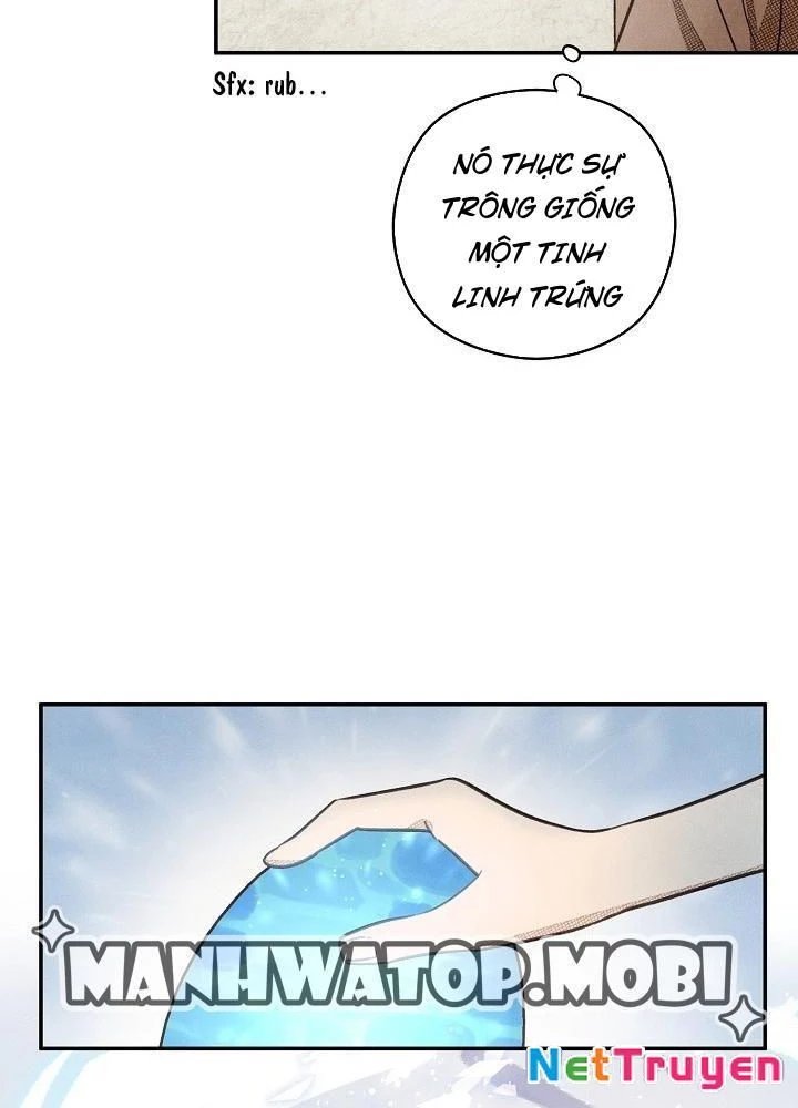 Nhật Ký Thuần Hóa Của Linh Sư Cấp S Chapter 2 - Trang 2