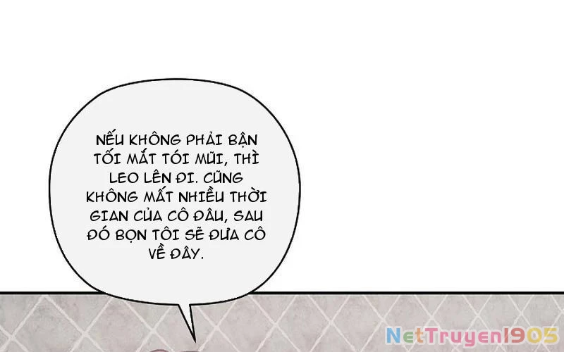 Nhật Ký Thuần Hóa Của Linh Sư Cấp S Chapter 21 - Trang 2