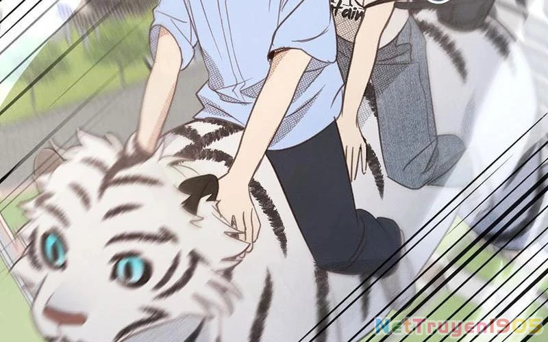 Nhật Ký Thuần Hóa Của Linh Sư Cấp S Chapter 21 - Trang 2