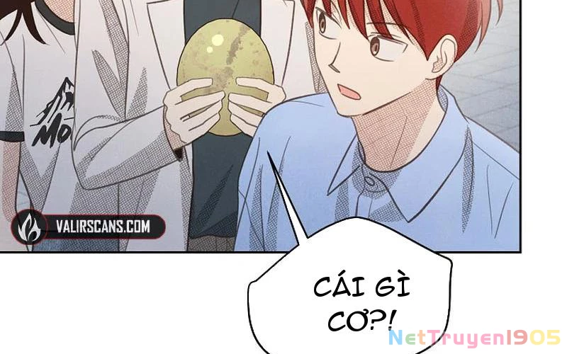 Nhật Ký Thuần Hóa Của Linh Sư Cấp S Chapter 21 - Trang 2