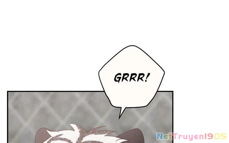 Nhật Ký Thuần Hóa Của Linh Sư Cấp S Chapter 21 - Trang 2