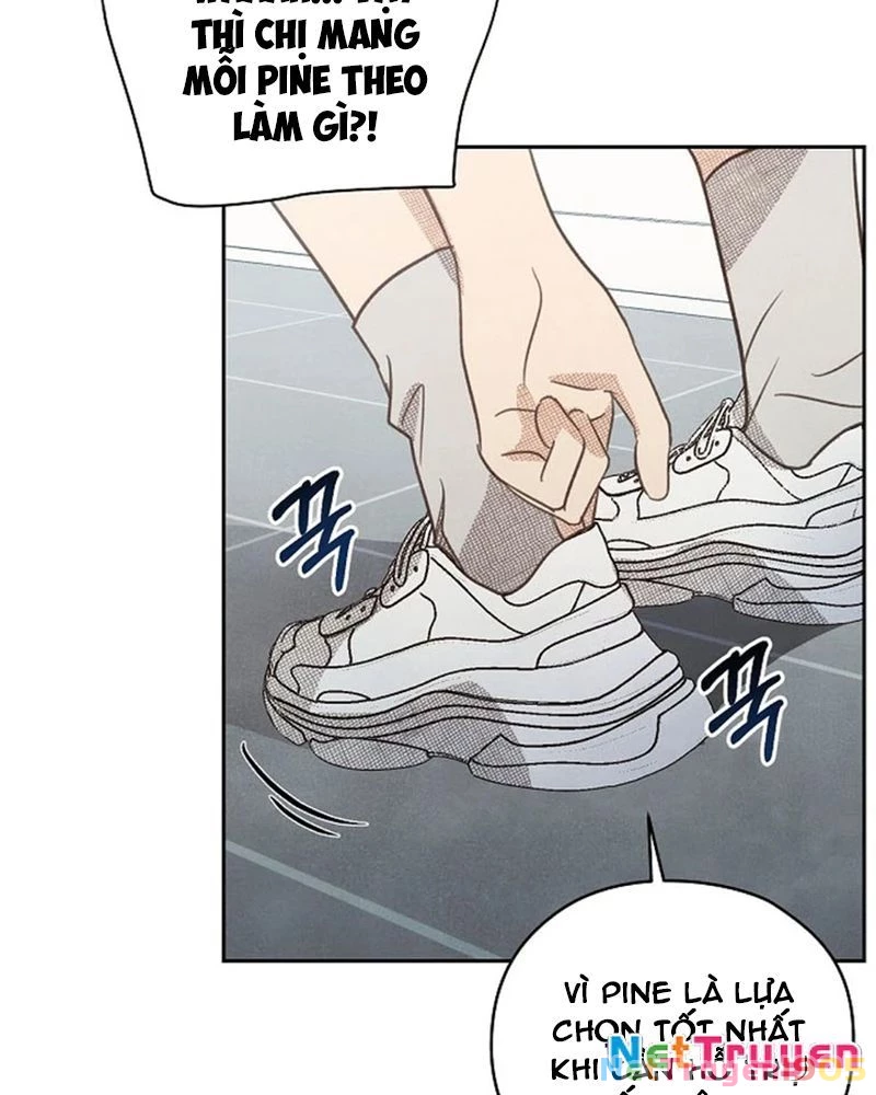 Nhật Ký Thuần Hóa Của Linh Sư Cấp S Chapter 24 - Trang 2