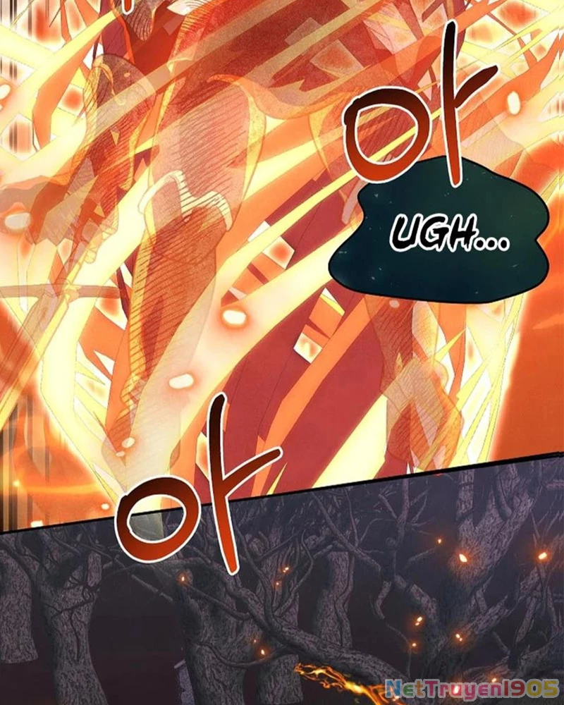 Nhật Ký Thuần Hóa Của Linh Sư Cấp S Chapter 25 - Trang 2