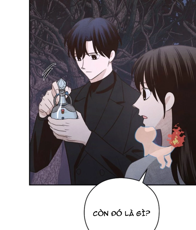 Nhật Ký Thuần Hóa Của Linh Sư Cấp S Chapter 26 - Trang 2