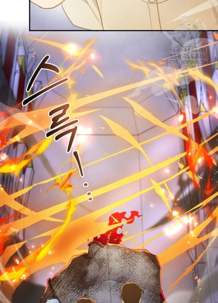 Nhật Ký Thuần Hóa Của Linh Sư Cấp S Chapter 27 - Trang 2