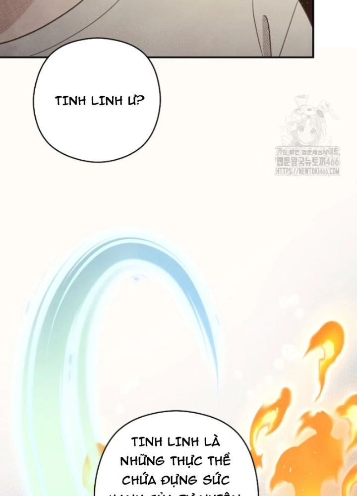 Nhật Ký Thuần Hóa Của Linh Sư Cấp S Chapter 27 - Trang 2