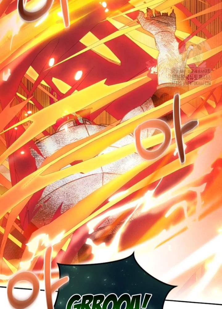 Nhật Ký Thuần Hóa Của Linh Sư Cấp S Chapter 27 - Trang 2
