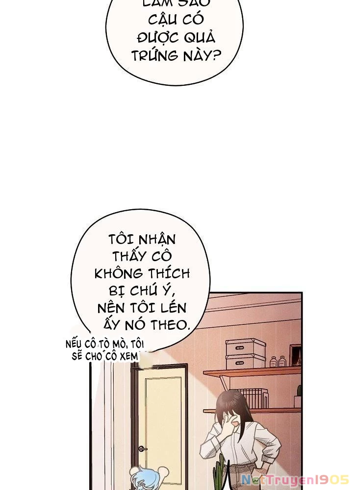 Nhật Ký Thuần Hóa Của Linh Sư Cấp S Chapter 3 - Trang 2