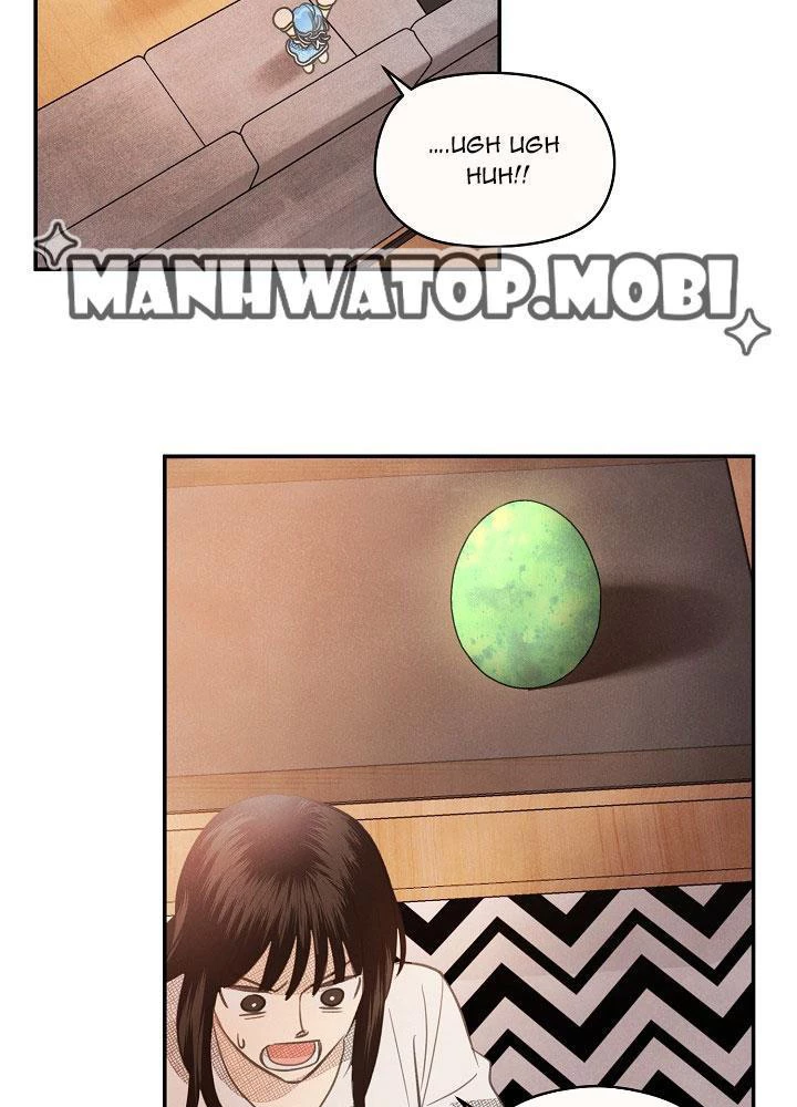 Nhật Ký Thuần Hóa Của Linh Sư Cấp S Chapter 3 - Trang 2