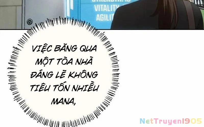 Nhật Ký Thuần Hóa Của Linh Sư Cấp S Chapter 9 - Trang 2