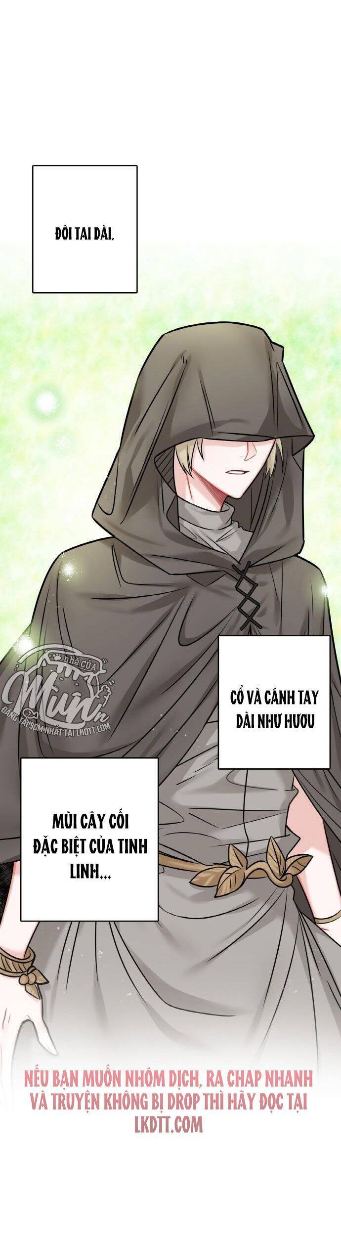 Nhật Ký Tuần Trăng Mật Của Phù Thủy Và Rồng Chapter 39 - Trang 2