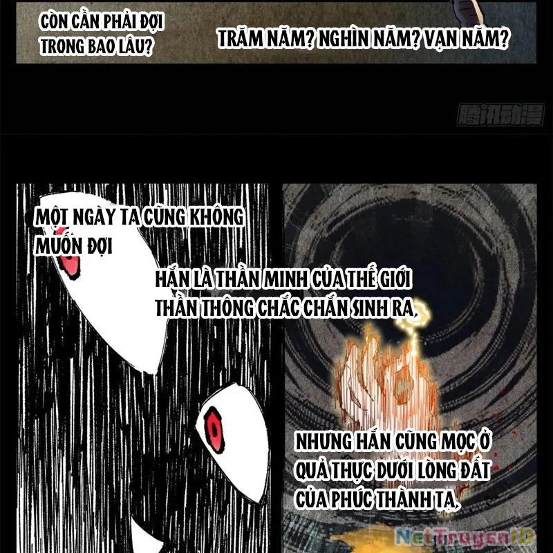 Nhật Nguyệt Đồng Thác Chapter 264 - Trang 2