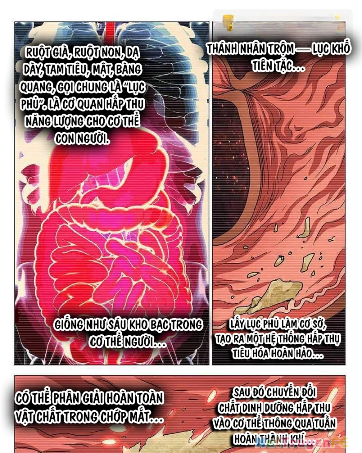 Nhất Nhân Chi Hạ Chapter 348 - Trang 2