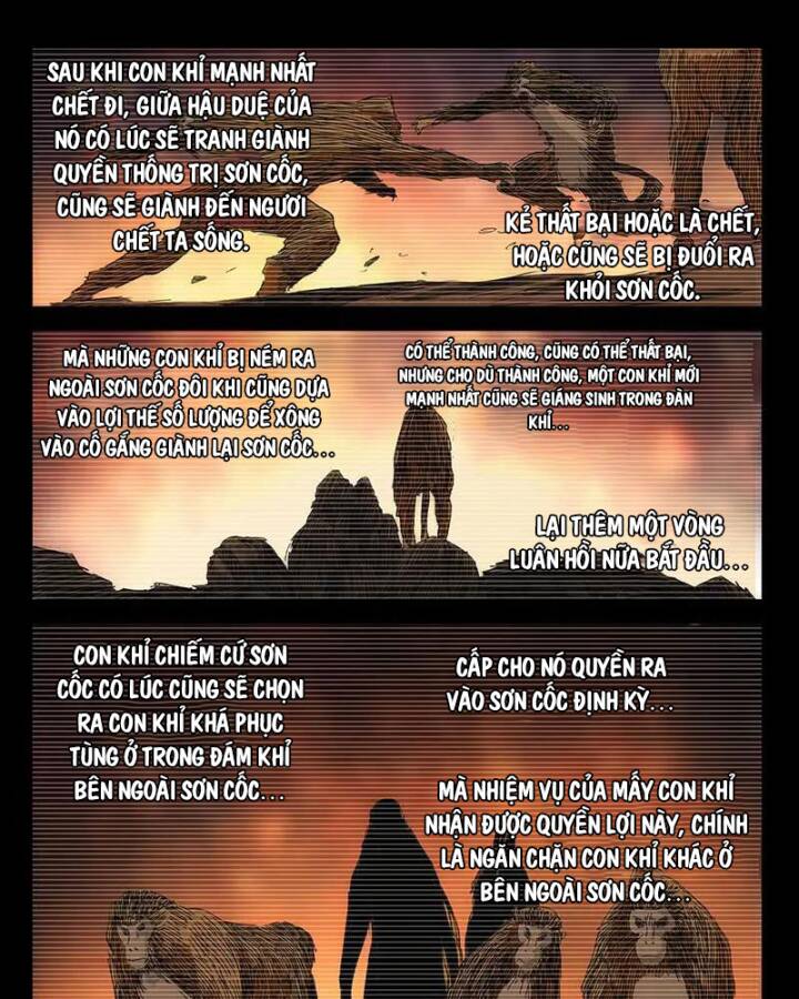 Nhất Nhân Chi Hạ Chapter 356 - Trang 2