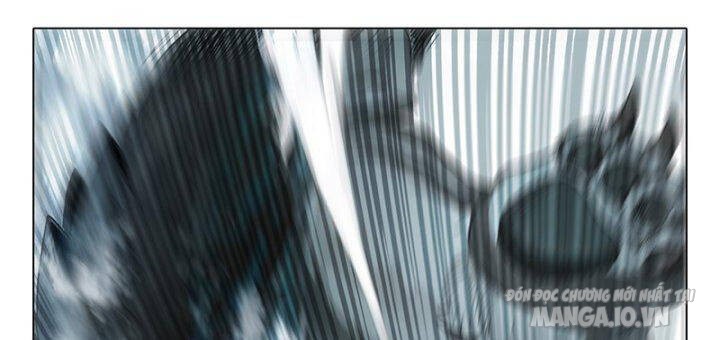 Nhất Niệm Vĩnh Hằng Chapter 84 - Trang 2