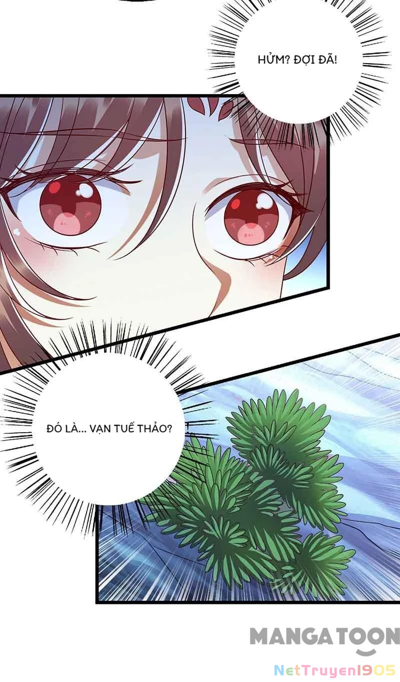 Nhất Phẩm Đích Nữ Chapter 199 - Trang 2