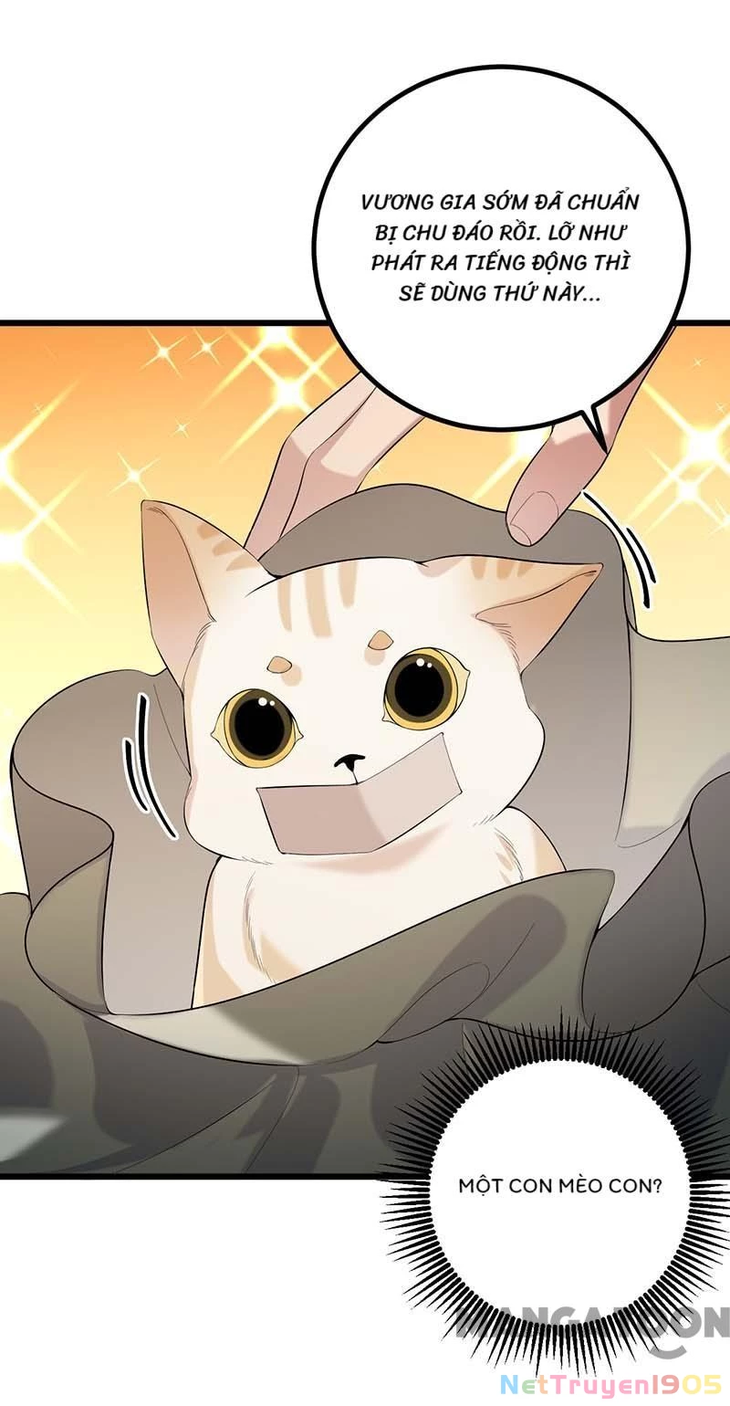 Nhất Phẩm Đích Nữ Chapter 249 - Trang 2