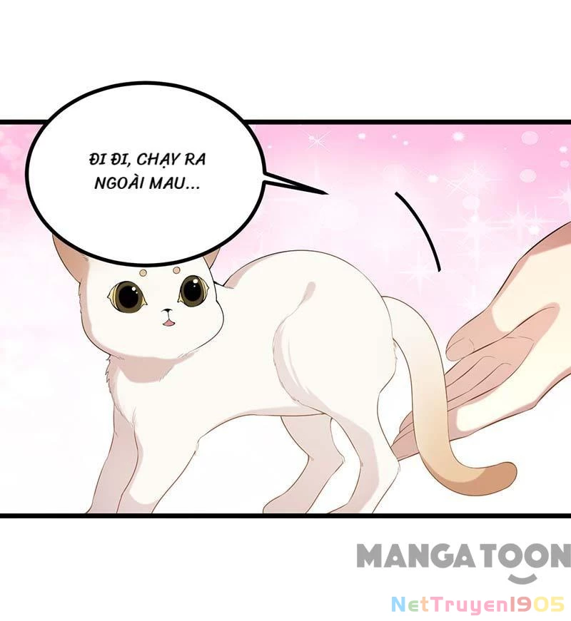 Nhất Phẩm Đích Nữ Chapter 249 - Trang 2