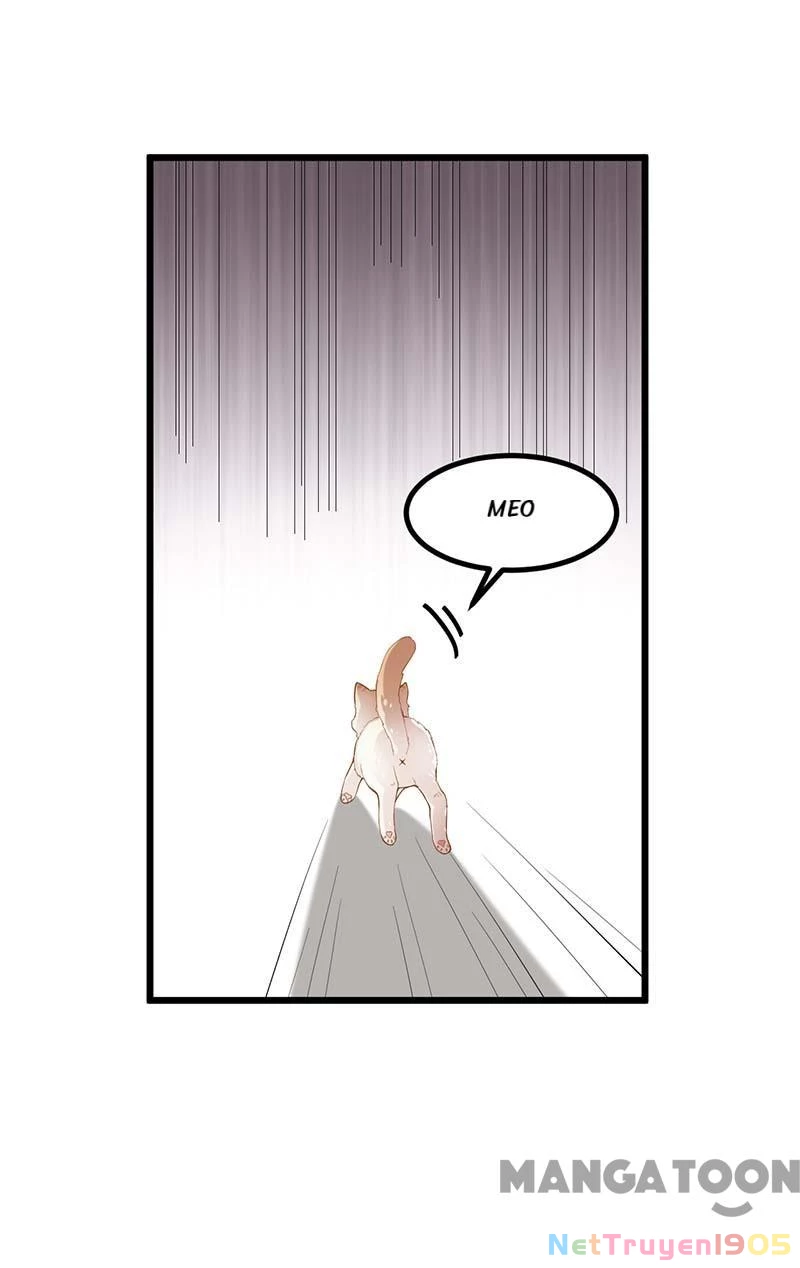 Nhất Phẩm Đích Nữ Chapter 249 - Trang 2