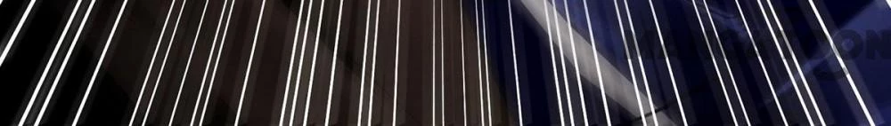 Nhất Phẩm Đích Nữ Chapter 95 - Trang 2