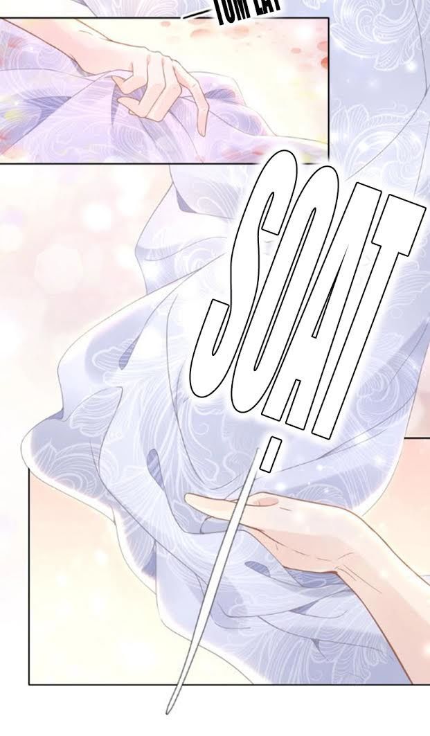 Nhất Sinh Nhất Thế Tiếu Thương Khung Chapter 12 - Trang 2