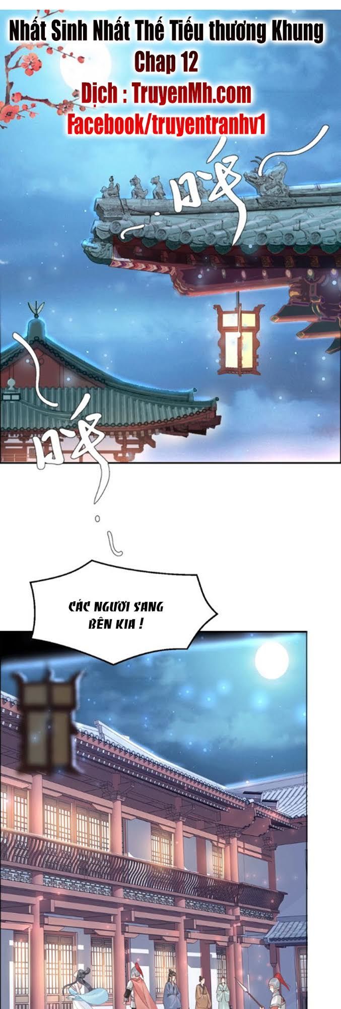 Nhất Sinh Nhất Thế Tiếu Thương Khung Chapter 12 - Trang 2