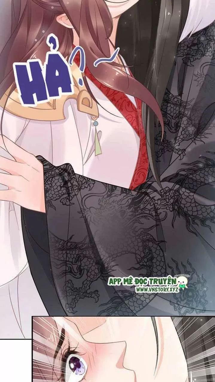 Nhất Sinh Nhất Thế Tiếu Thương Khung Chapter 20 - Trang 2